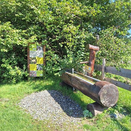 Fewo Allgaeuerle1605 Mit Hallenbad, Sauna, Tiefgarage Und Wlan Missen Wilhams Bagian luar foto