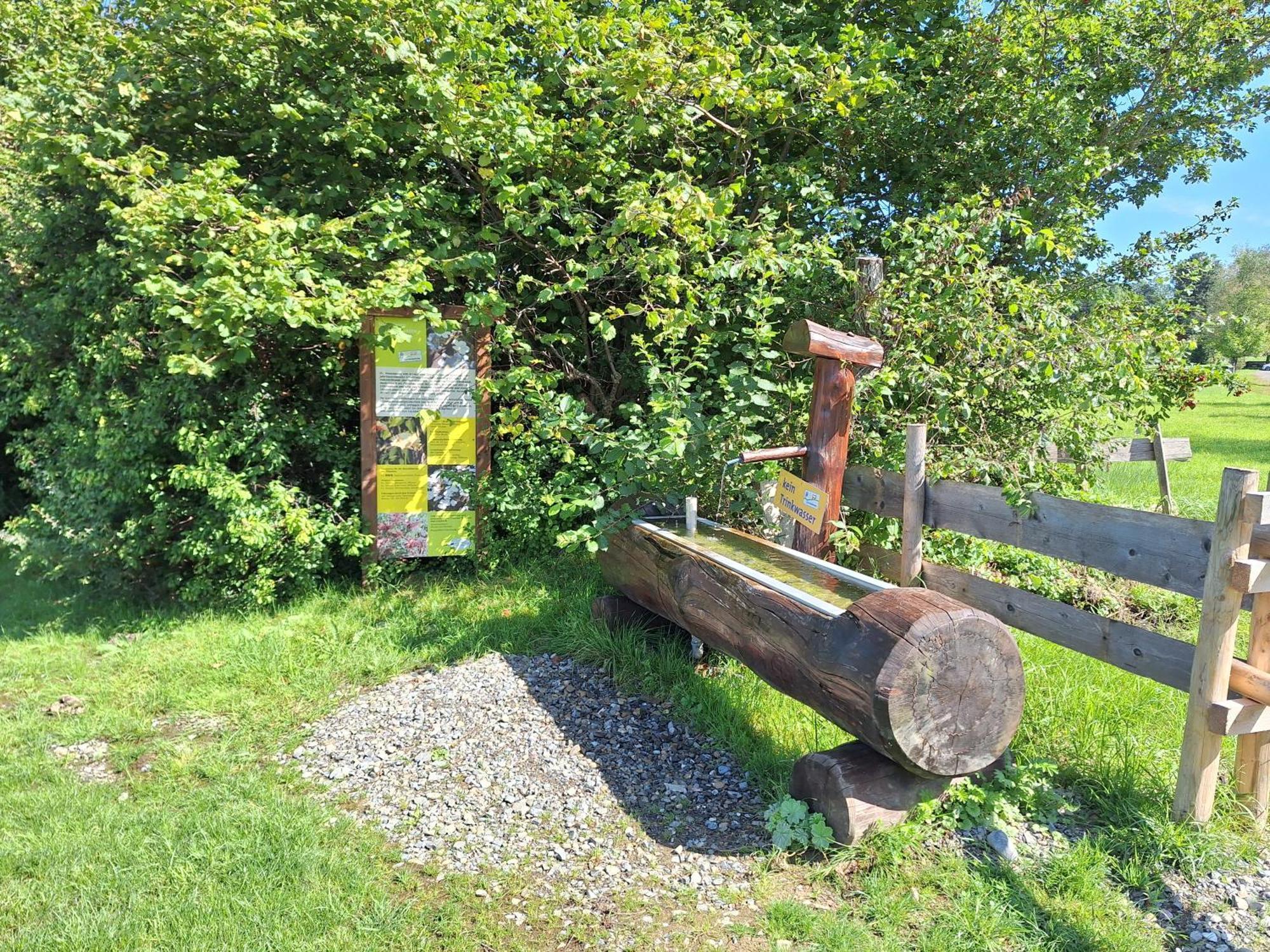 Fewo Allgaeuerle1605 Mit Hallenbad, Sauna, Tiefgarage Und Wlan Missen Wilhams Bagian luar foto