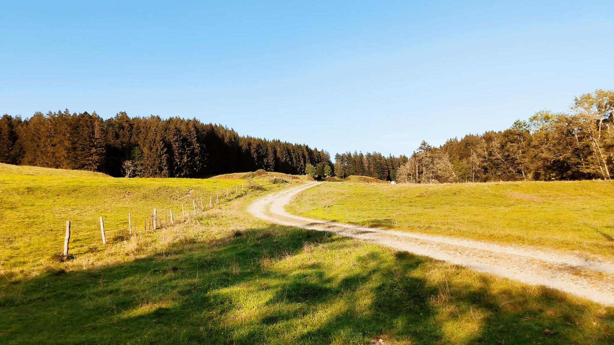 Fewo Allgaeuerle1605 Mit Hallenbad, Sauna, Tiefgarage Und Wlan Missen Wilhams Bagian luar foto