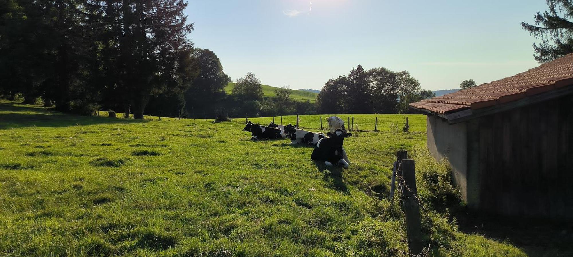 Fewo Allgaeuerle1605 Mit Hallenbad, Sauna, Tiefgarage Und Wlan Missen Wilhams Bagian luar foto