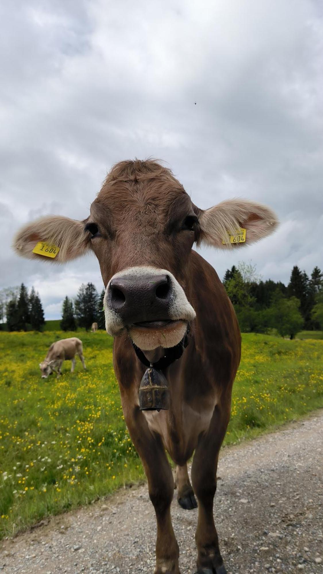 Fewo Allgaeuerle1605 Mit Hallenbad, Sauna, Tiefgarage Und Wlan Missen Wilhams Bagian luar foto