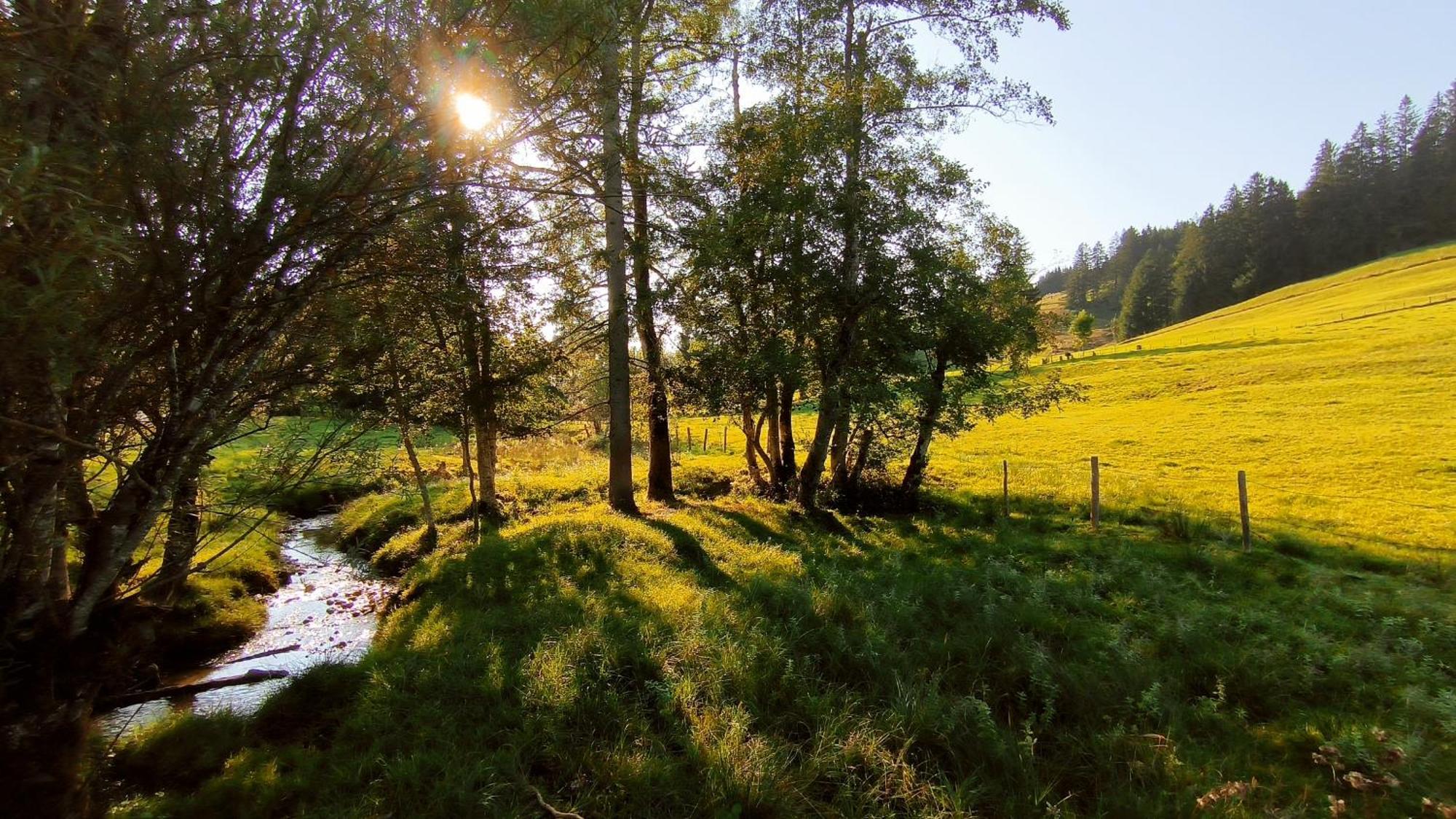 Fewo Allgaeuerle1605 Mit Hallenbad, Sauna, Tiefgarage Und Wlan Missen Wilhams Bagian luar foto